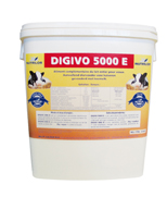 produit_digivo